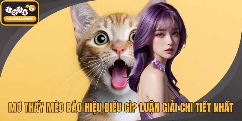 Mơ Thấy Mèo